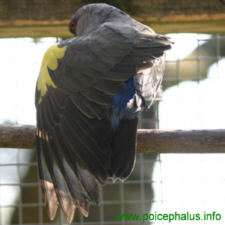 Foto: Jens Drebenstedt